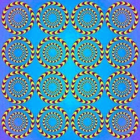 image23dcd4d2df7597d8a805a427cea26b99.jpg