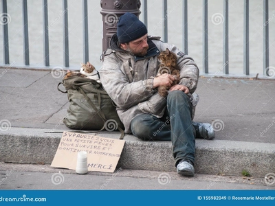 Where Did the Homeless Man Go? The Heartbreaking Story of Hazel, the Cat Who Waits for Love