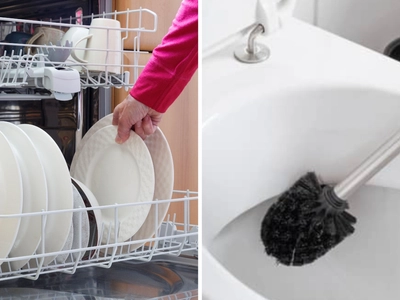 Is It Safe to Wash Toilet Brushes in the Dishwasher? The Surprising Truth Behind This Household Debate