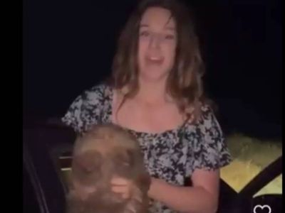 Viral video: American influencer pulls baby wombat from ...