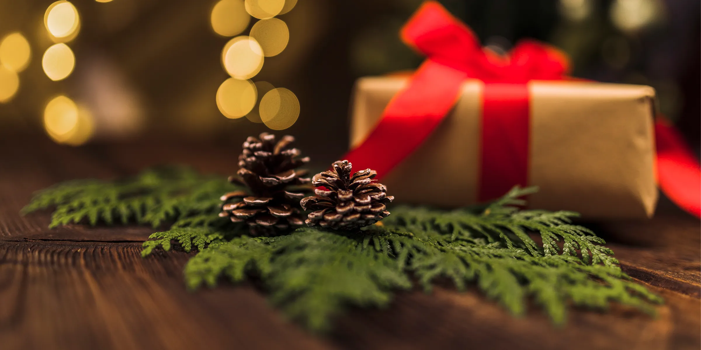 image609e8c34ff93e07ec493c2ff9ae522cc.webp