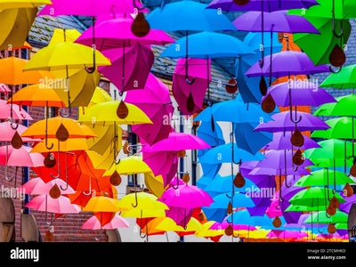 What Weather Really Takes Away: The Hidden Meaning Behind Those Umbrellas on Power Lines