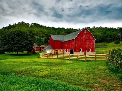 3 Surprising Farm Stories You Won't Believe Are Real