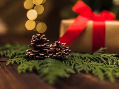My Husband Kept a Christmas Gift from His First Love Unopened for 30 Years—Last
Christmas, I Couldn't Take It Anymore and Opened It