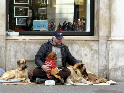 Homeless Man with Dogs [IMAGE] | EurekAlert! Science News ...