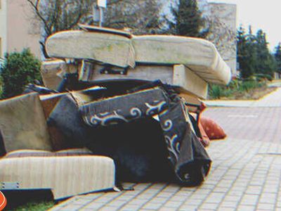 On Their 50th Anniversary, Husband Comes Home & Sees That His Wife Has Put All His Belongings Out on the Street