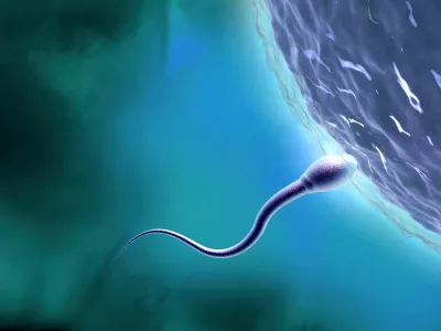 Scientists left shocked after discovering that sperm breaks ...