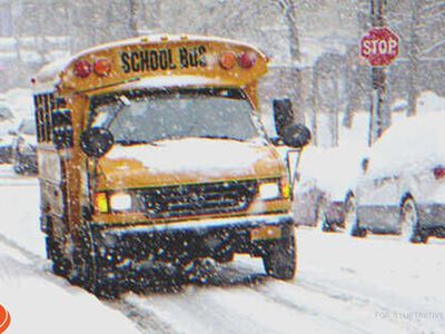 Driver Notices Little Boy Crying in School Bus, Jumps in to Help after Seeing
His Freezing Hands 