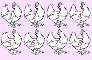 The Shocking Truth About Why 92% of People Failed This Simple Chicken Test
